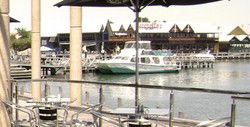 The Stage Door Bar & Brasserie - St Kilda Accommodation 3