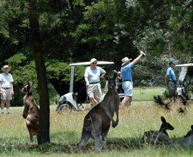 Glen Innes NSW St Kilda Accommodation