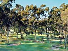 Tanunda Pines Golf Club - St Kilda Accommodation 0
