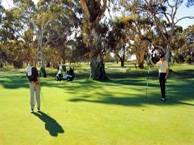 Tanunda Pines Golf Club - St Kilda Accommodation 1