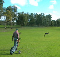 Coffin Bay Golf Club