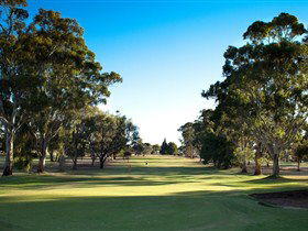 Loxton Golf Club - St Kilda Accommodation 0