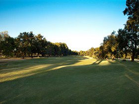 Loxton Golf Club - St Kilda Accommodation 2