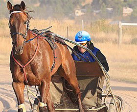 Ballarat & District Trotting Club - St Kilda Accommodation 0