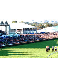 South Australian Jockey Club - St Kilda Accommodation 0