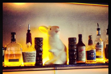 Hairy Canary - St Kilda Accommodation 0