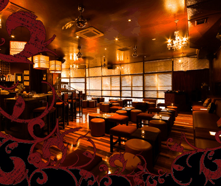 Hippo Lounge Bar - St Kilda Accommodation