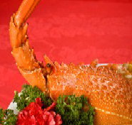 Marigold - St Kilda Accommodation