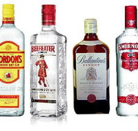 Mount Surprise Hotel - St Kilda Accommodation