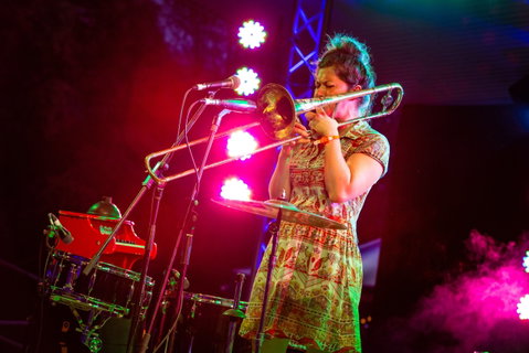 Agnes Blues, Roots And Rock Festival - St Kilda Accommodation 2