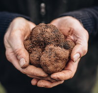 A Taste of Truffles - St Kilda Accommodation