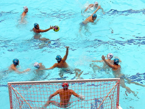 Australian Youth Water Polo Championships - St Kilda Accommodation 0