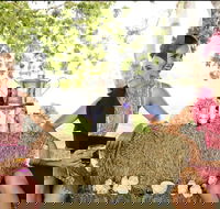 Burdekin Growers Race Day - St Kilda Accommodation