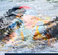 Cave Hill Creek Summer Camp - St Kilda Accommodation