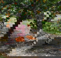 Fruit Bottling Sessions at Rayner's Orchard