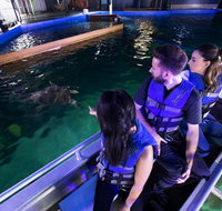 Glass Bottom Boat Tour - St Kilda Accommodation