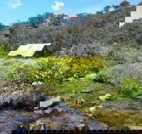 Hedonistic Hiking's Falls Creek to Hotham - St Kilda Accommodation