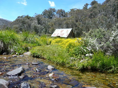 Hedonistic Hiking's Falls Creek To Hotham - St Kilda Accommodation 0