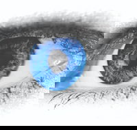 Joe Orton's What the Butler Saw - St Kilda Accommodation