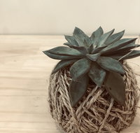 Kokedama Workshop - St Kilda Accommodation