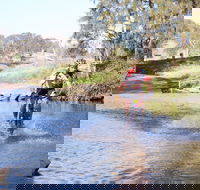 Mountain Man Tri Challenge - St Kilda Accommodation