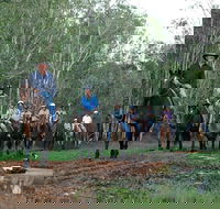 Night Horse Ride and Dinner - St Kilda Accommodation