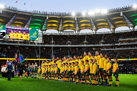 Rugby Championship: Qantas Wallabies V Springboks - St Kilda Accommodation 0