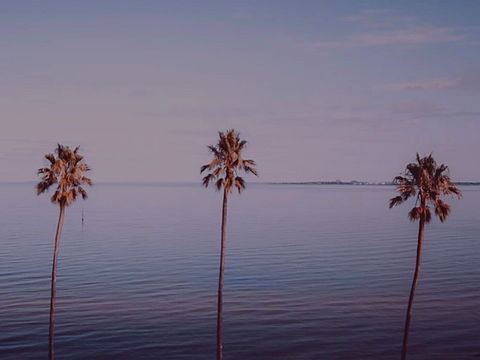 Sunset Streaming Live DJ Streams - St Kilda Accommodation 0