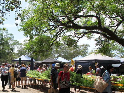 Violet Town Market - St Kilda Accommodation 2