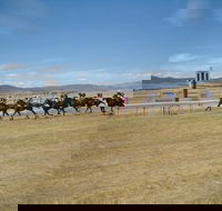 Adaminaby Cup Race Day