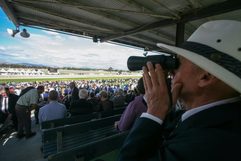 Albury Racing Club Boxing Day Races - St Kilda Accommodation 1