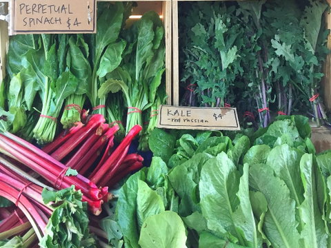 Albury Wodonga Farmers Market - St Kilda Accommodation 0