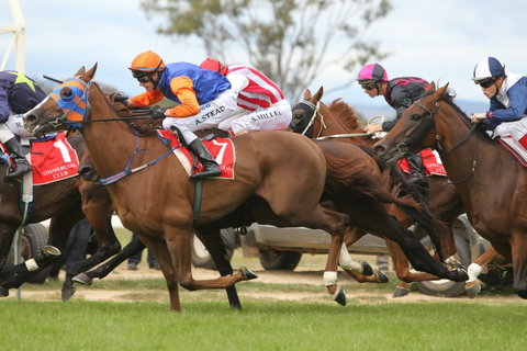 Albury Racing Club January Race Day - St Kilda Accommodation 1
