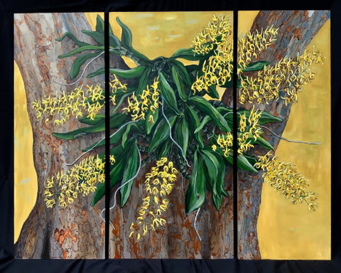 A Still Life - Solo Exhibition  Karen Sedaitis - St Kilda Accommodation 1