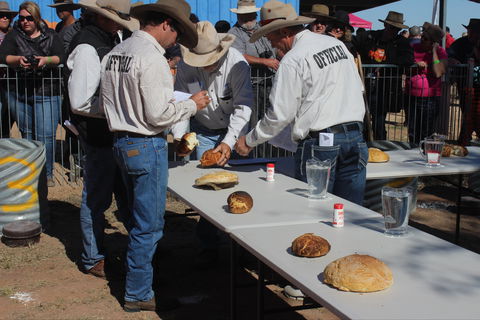 Bedourie Camel And Pig Races And Camp Oven Cook-off - St Kilda Accommodation 2