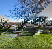 Cheese and Wine Experience