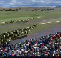 Cooma Sundowners Cup - St Kilda Accommodation