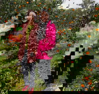 Fruit Taste Adventure Tours