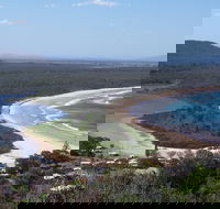 Head to Head Walk Run