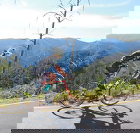 High Country Women's Cycling Festival - St Kilda Accommodation