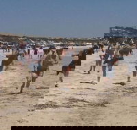 Perlubie Beach Sports Day