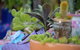 QCWA Sunday Markets - thumb 1