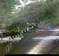 The Man From Snowy River Bush Festival - St Kilda Accommodation