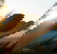 The Truffle Festival - Canberra Region - St Kilda Accommodation