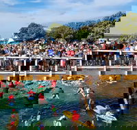 The Crescent Head Santa Surf