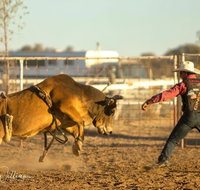 Walgett Charity Bushman's Carnival Rodeo and Campdraft