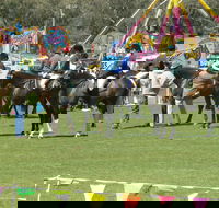 Wangaratta Show - St Kilda Accommodation