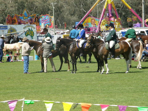 Wangaratta Show - St Kilda Accommodation 0