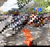 Australian National Busking Championships - St Kilda Accommodation