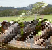 Bandon Grove Farm Tours